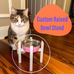 Custom Raised Bowl Stand | 3D Printed PETG | Size 3–8” | Cat & Small Dog Feeder